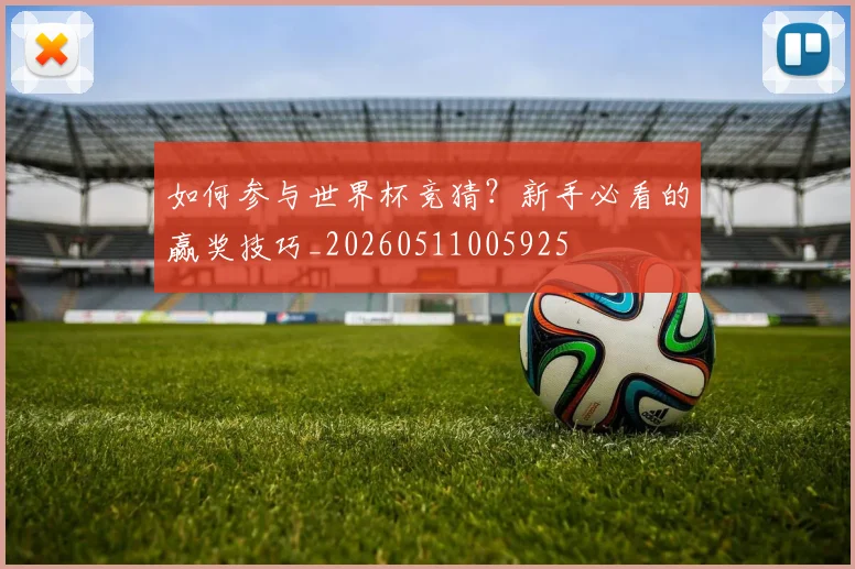 如何参与世界杯竞猜？新手必看的赢奖技巧_20260511005925